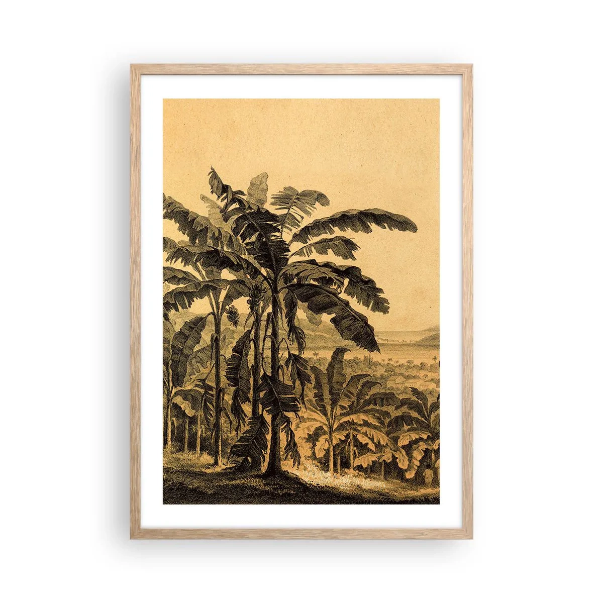 Poster in cornice rovere chiaro - Nel clima coloniale - 50x70 cm