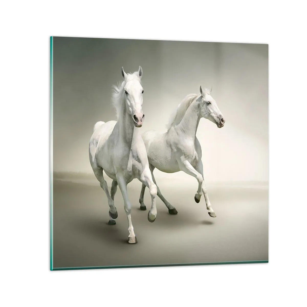 Quadro su vetro - White power! - 60x60 cm