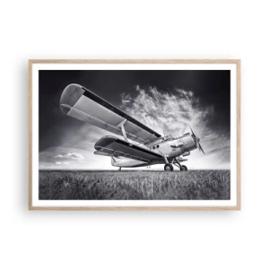 Poster in cornice rovere chiaro - Giramondo alato  - 100x70 cm