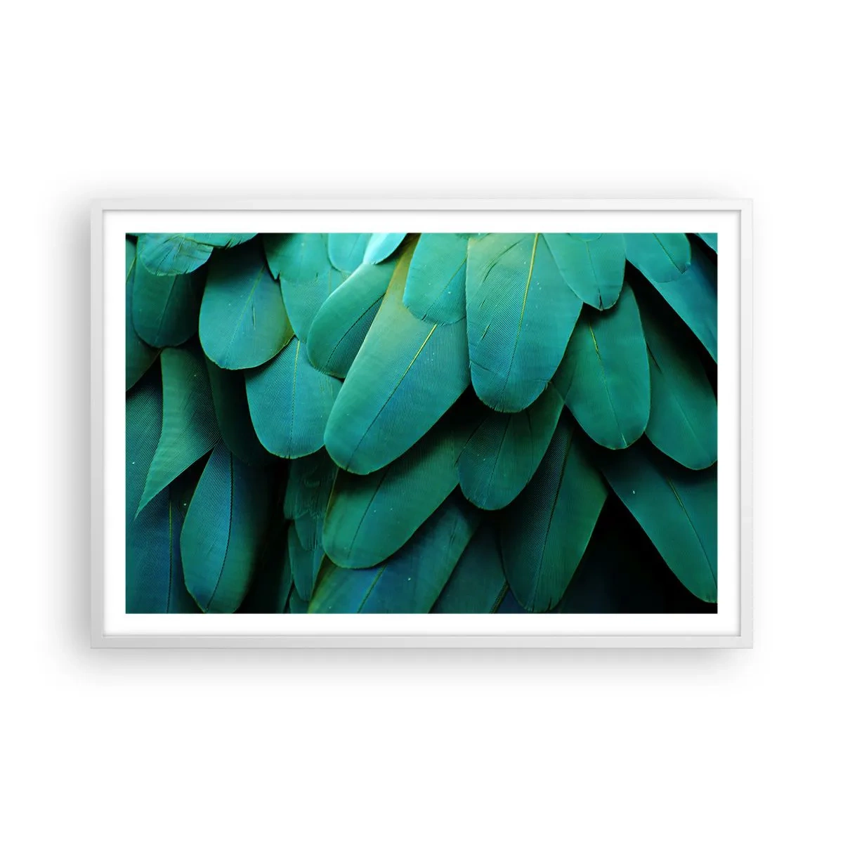 Poster in cornice bianca - Precisione da pappagallo - 91x61 cm