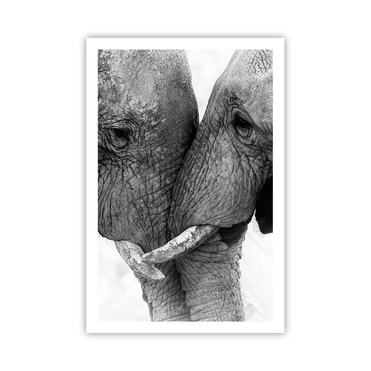 Poster - Dichiarazione sincera - 61x91 cm