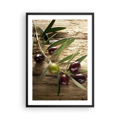 Poster in cornice nera - Ramo d'ulivo con olive verdi e nere - 50x70cm - Direttamente dalla natura - Decorazione murale moderna per soggiorno e camera da letto ARTTOR
