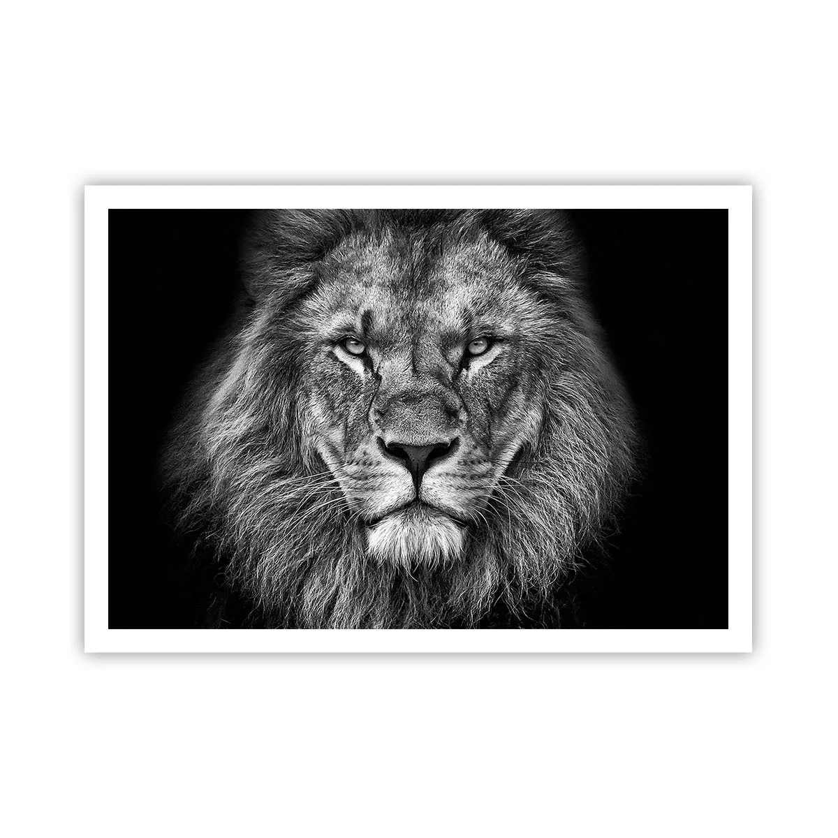 Poster - Ritratto di un maestoso leone in bianco e nero - 100x70cm - Nell'abito dell'incoronazione - Decorazione murale moderna per soggiorno e camera da letto ARTTOR