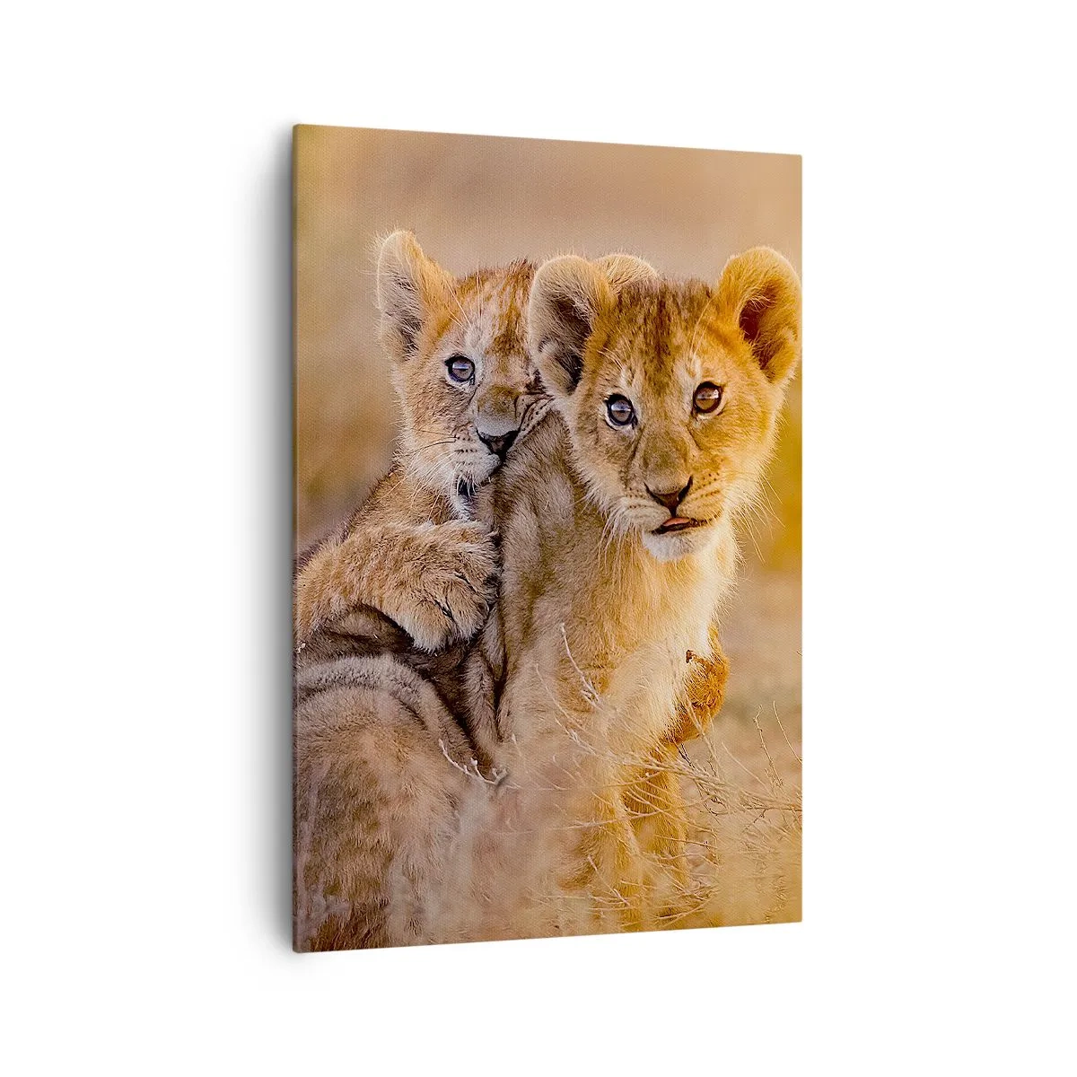 Quadro su tela - Stampe su Tela - Adorabili cuccioli di leone nel loro ambiente naturale - 70x100cm - Non disturbare! Giochiamo - Decorazione murale moderna per soggiorno e camera da letto ARTTOR