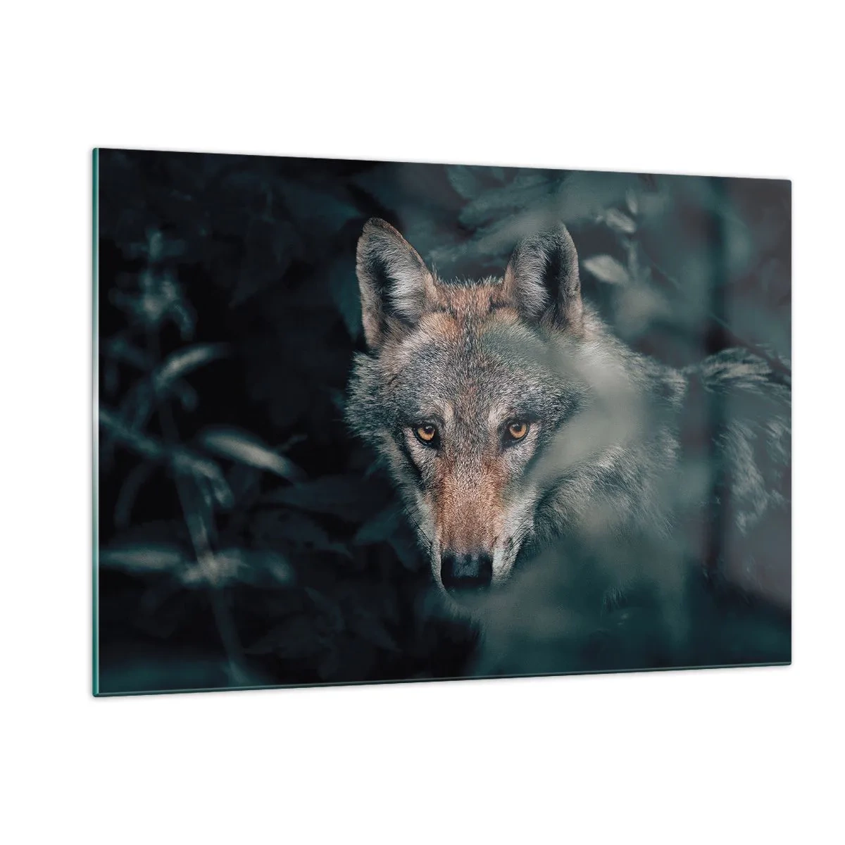 Quadro su vetro - Un lupo osserva vigile dal suo nascondiglio nel folto della foresta - 120x80cm - Cacciatore - Decorazione murale moderna per soggiorno e camera da letto ARTTOR