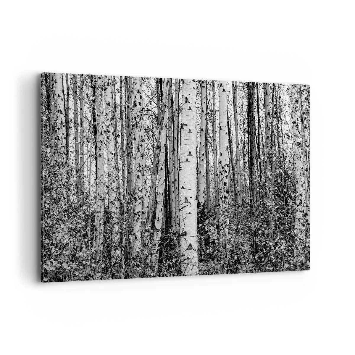 Quadro su tela - Stampe su Tela - Betulle bianche e nere nella foresta - 120x80cm - Colonnato di betulle - Decorazione murale moderna per soggiorno e camera da letto ARTTOR