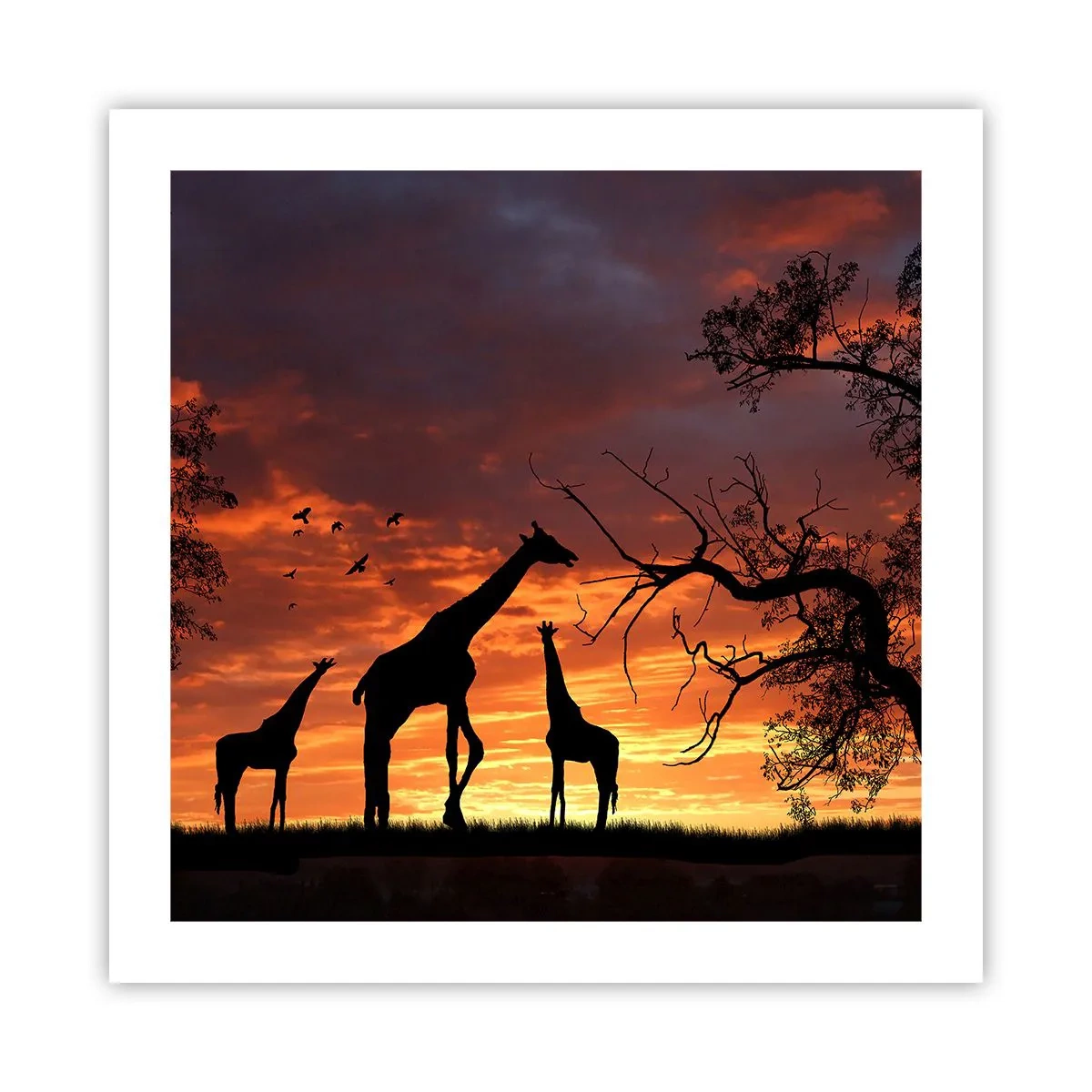 Poster - Piccola cena tra amici - 50x50 cm