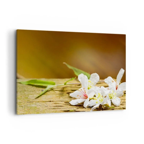 Quadro su tela - Stampe su Tela - Fiori bianchi su uno sfondo di legno alla luce naturale - 120x80cm - Promessa innocente - Decorazione murale moderna per soggiorno e camera da letto ARTTOR