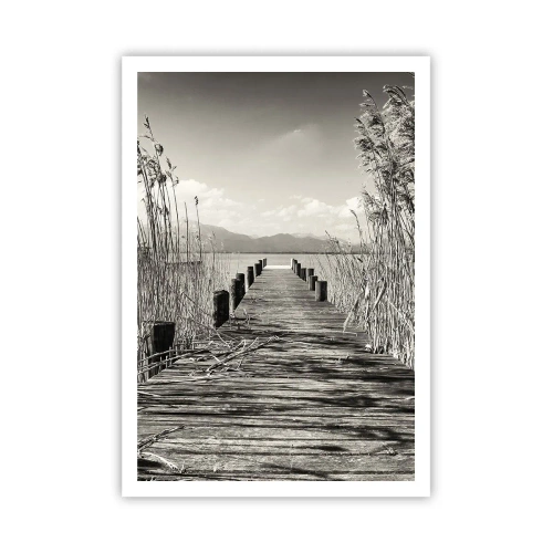 Poster - Nel silenzio dell'erba - 70x100 cm