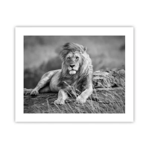 Poster - La siesta del re - 50x40 cm