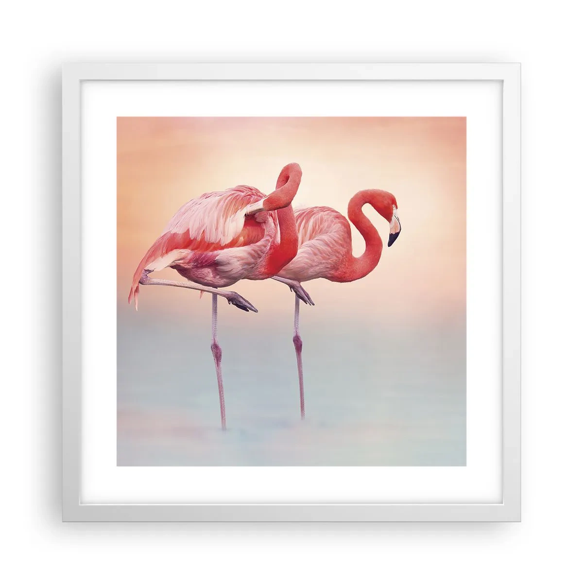 Poster in cornice bianca - Nel colore del sole al tramonto - 40x40 cm