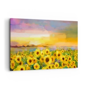 Quadro su tela - Stampe su Tela - Un campo di girasoli alla luce del sole al tramonto - 120x80cm - Il sole è sceso sulla terra - Decorazione murale moderna per soggiorno e camera da letto ARTTOR