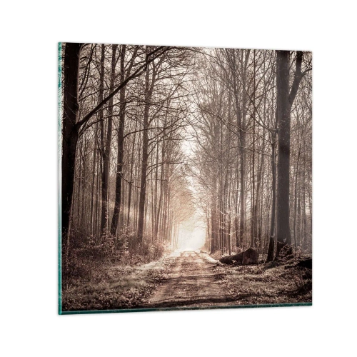 Quadro su vetro - La cattedrale del bosco - 70x70 cm