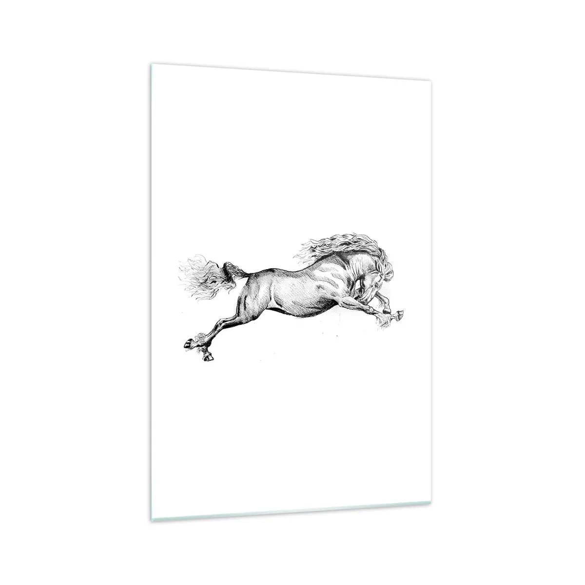 Quadro su vetro - Schizzo di un cavallo al galoppo dinamico su sfondo bianco - 70x100cm - Fermo al galoppo - Decorazione murale moderna per soggiorno e camera da letto ARTTOR