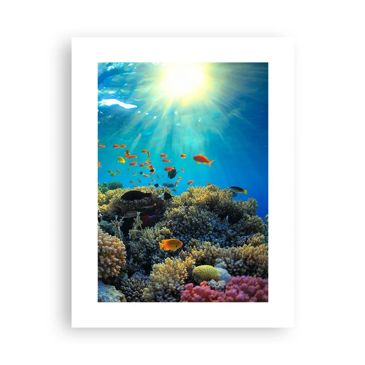 Poster - Tesori sotto al mare - 30x40 cm