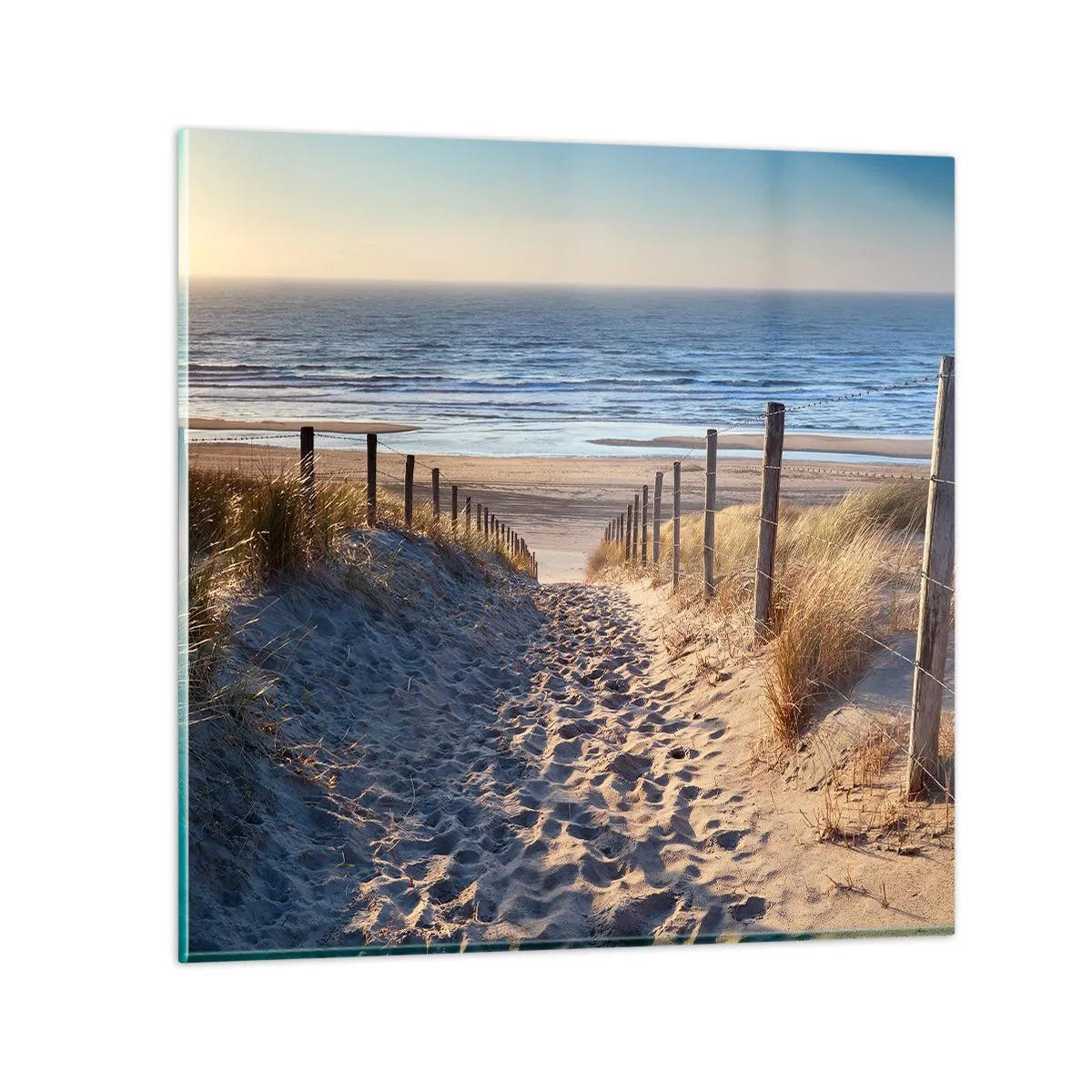 Quadro su vetro - Rumore del mare, uccelli che cantano, spiaggia selvatica tra i cespugli... - 30x30 cm