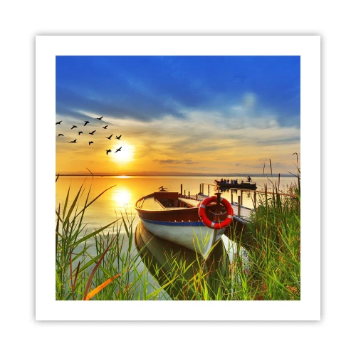 Poster - I cormorano volano già via - 50x50 cm