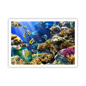 Poster - Una barriera corallina colorata con pesci tropicali nelle profondità dell'oceano. - 100x70cm - Traffico intenso sulla via delle vacanze - Decorazione murale moderna per soggiorno e camera da letto ARTTOR