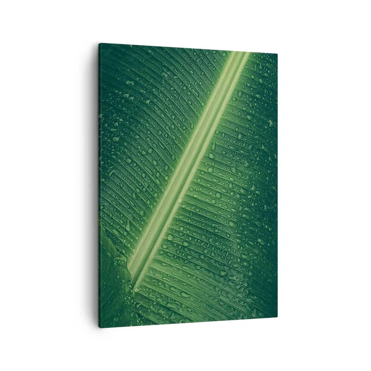 Quadro su tela - Stampe su Tela - Una foglia verde con gocce d'acqua sulla sua superficie - 50x70cm - La struttura del verde - Decorazione murale moderna per soggiorno e camera da letto ARTTOR