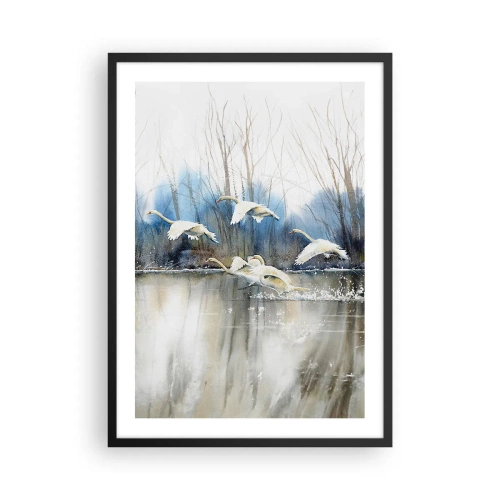 Poster in cornice nera - Uno stormo di cigni che fluttuano sull'acqua in stile pittorico - 50x70cm - Come la favola dei cigni selvatici - Decorazione murale moderna per soggiorno e camera da letto ARTTOR