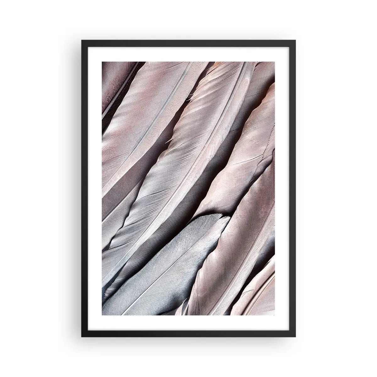 Poster in cornice nera - Primo piano di delicate piume pastello - 50x70cm - Argento rosato - Decorazione murale moderna per soggiorno e camera da letto ARTTOR