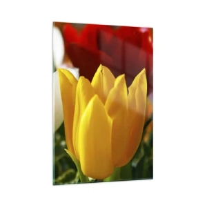 Quadro su vetro - Primo piano di tulipani colorati su uno sfondo primaverile - 80x120cm - La febbre dei tulipani - Decorazione murale moderna per soggiorno e camera da letto ARTTOR