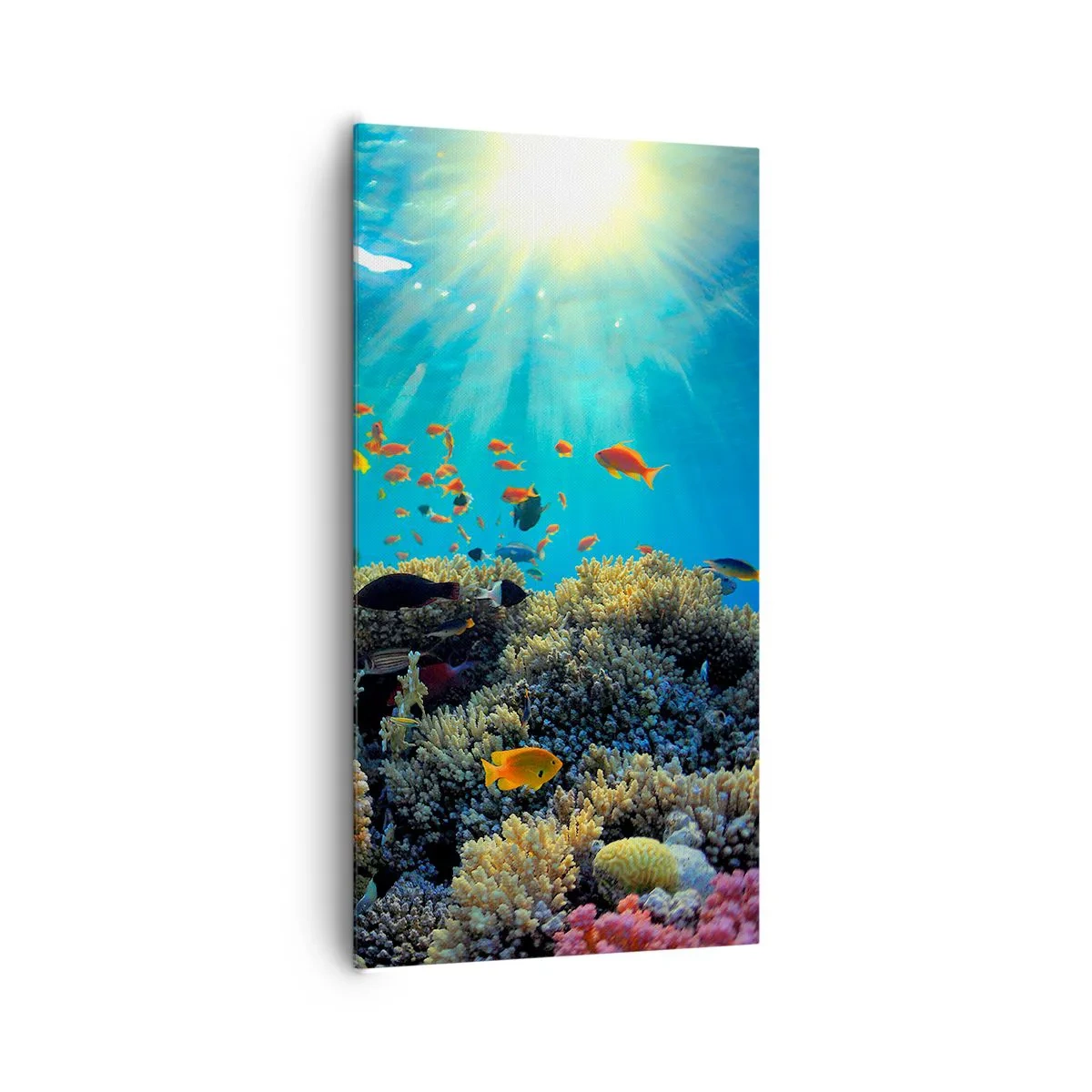 Quadro su tela - Stampe su Tela - Tesori sotto al mare - 65x120 cm