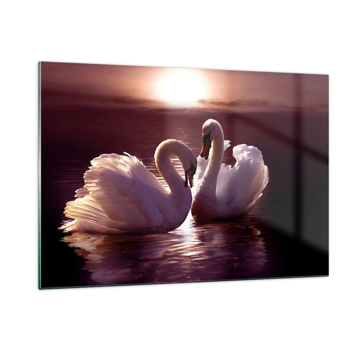 Quadro su vetro - Due cigni sull'acqua alla luce del sole al tramonto - 120x80cm - Finché la morte non ci separi - Decorazione murale moderna per soggiorno e camera da letto ARTTOR