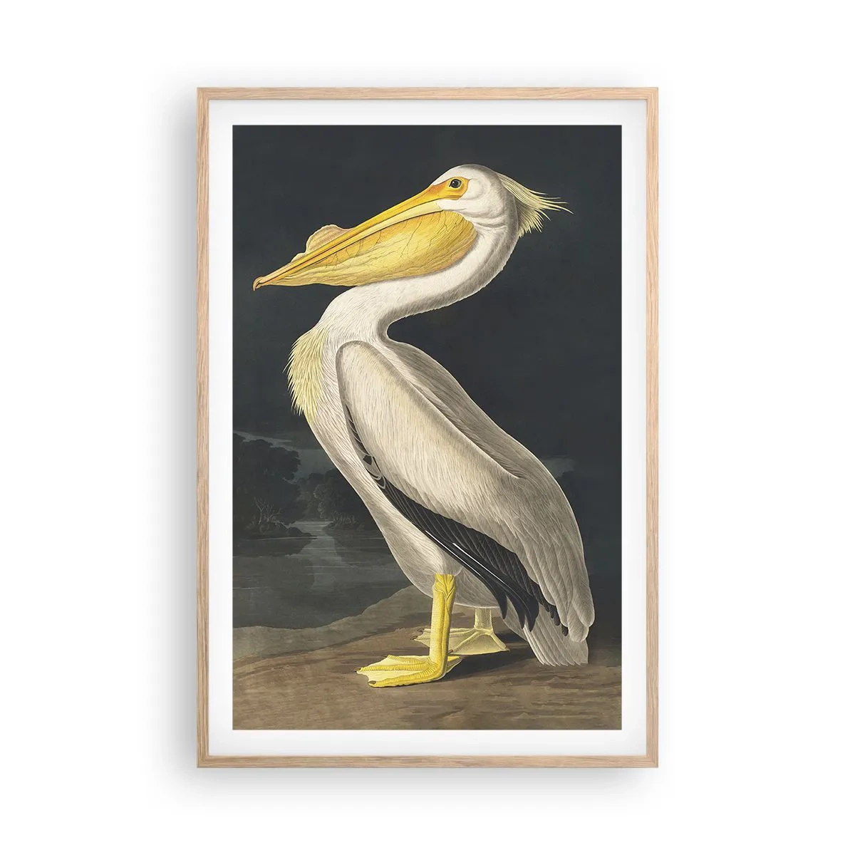 Poster in cornice rovere chiaro - Pieno di orgoglio - 61x91 cm