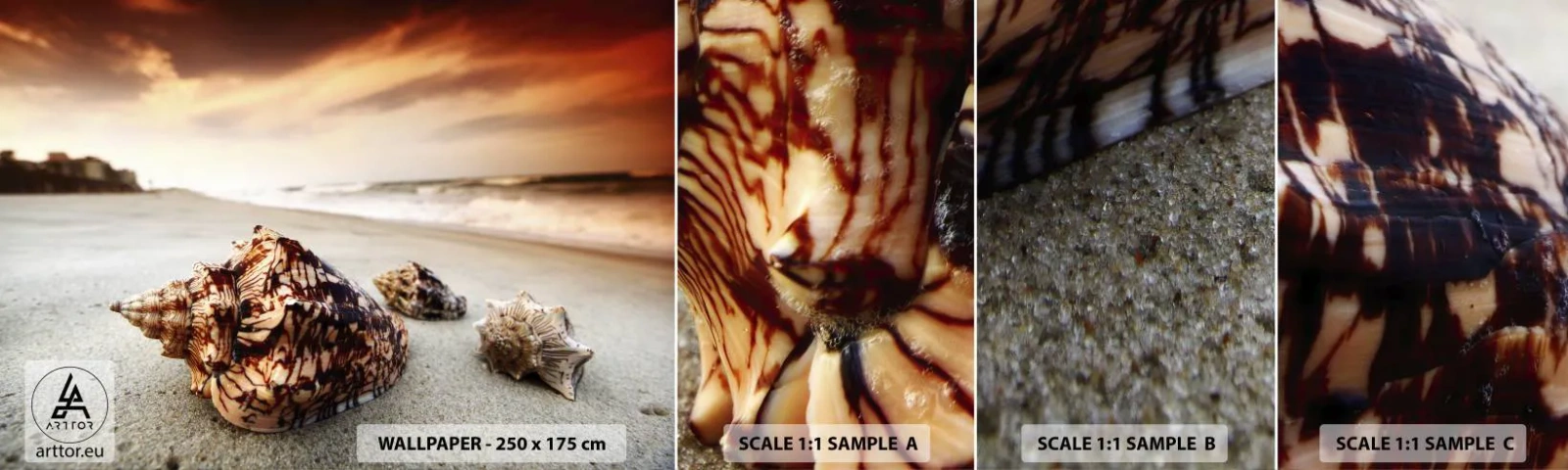 Campione Di Fotomurale Standard Eco - Esiliate dalle onde - Paesaggio, Mare, Conchiglia - 100x30 cm
