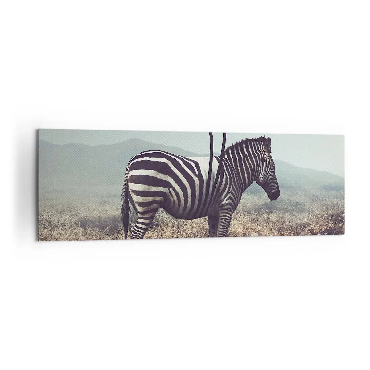 Quadro su tela - Stampe su Tela - Una zebra surreale contro un paesaggio erboso - 160x50cm - Attenzione! Difetto - Decorazione murale moderna per soggiorno e camera da letto ARTTOR