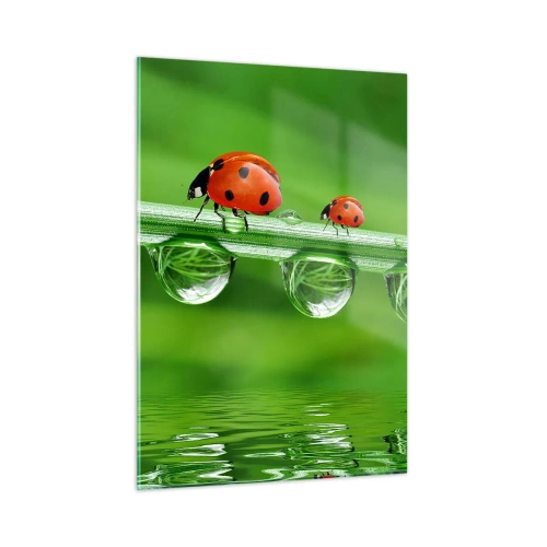 Quadro su vetro - Coccinelle su un filo d'erba con gocce di rugiada e riflesso nell'acqua - 50x70cm - In cammino per tutta l'estate - Decorazione murale moderna per soggiorno e camera da letto ARTTOR