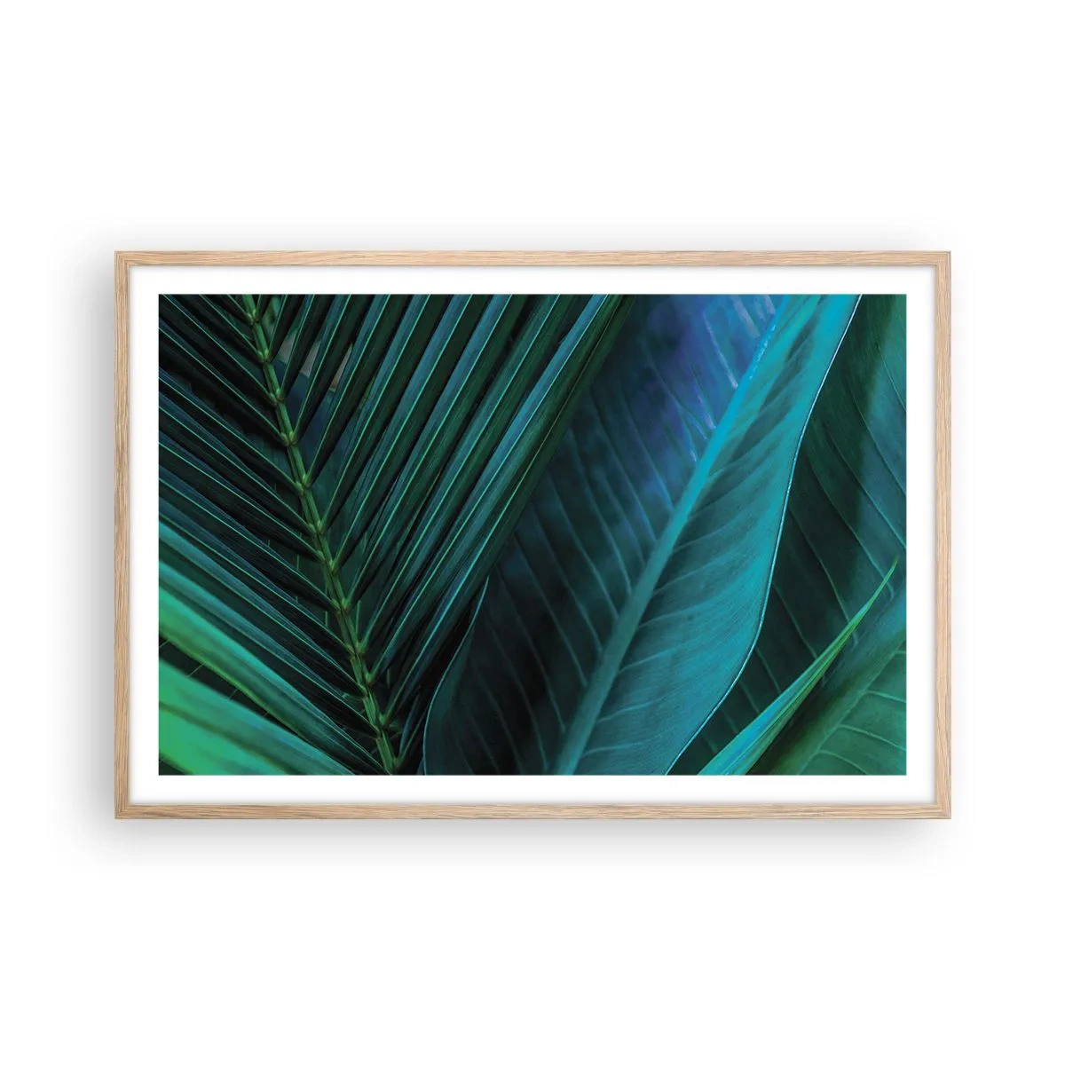 Poster in cornice rovere chiaro - Anatomia del verde - 91x61 cm