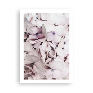 Poster - Delicate ortensie pastello in primo piano - 50x70cm - Un'alluvione di fiori - Decorazione murale moderna per soggiorno e camera da letto ARTTOR