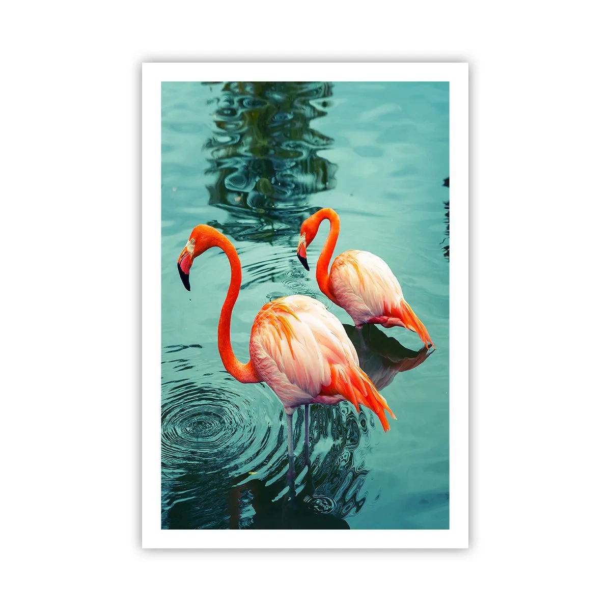 Poster - Adesso siamo di moda - 61x91 cm