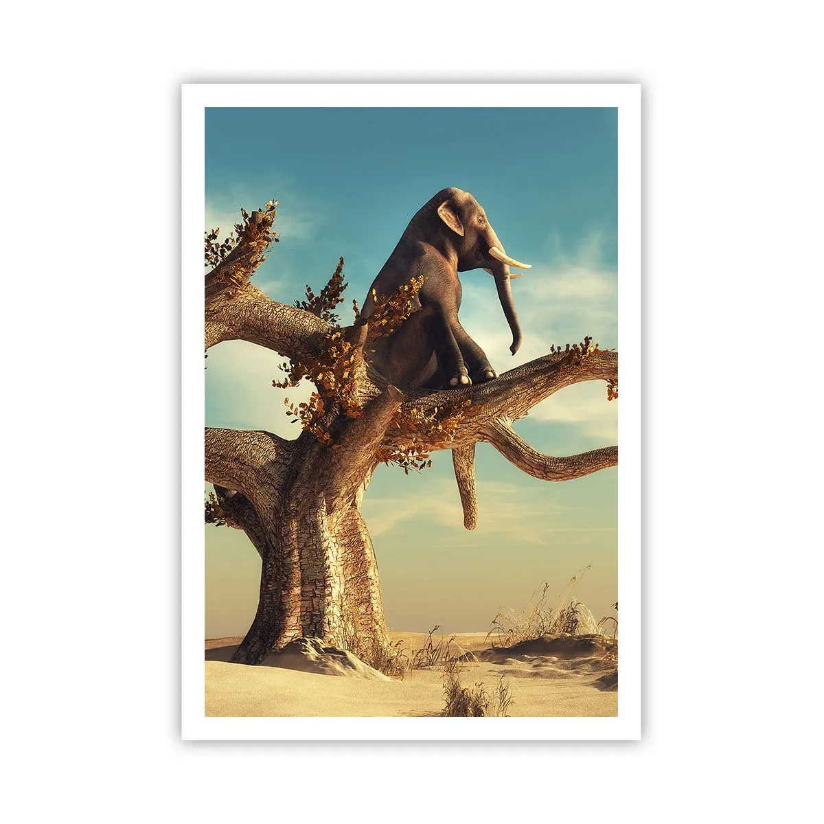 Poster - Nuovo punto di vista - 70x100 cm