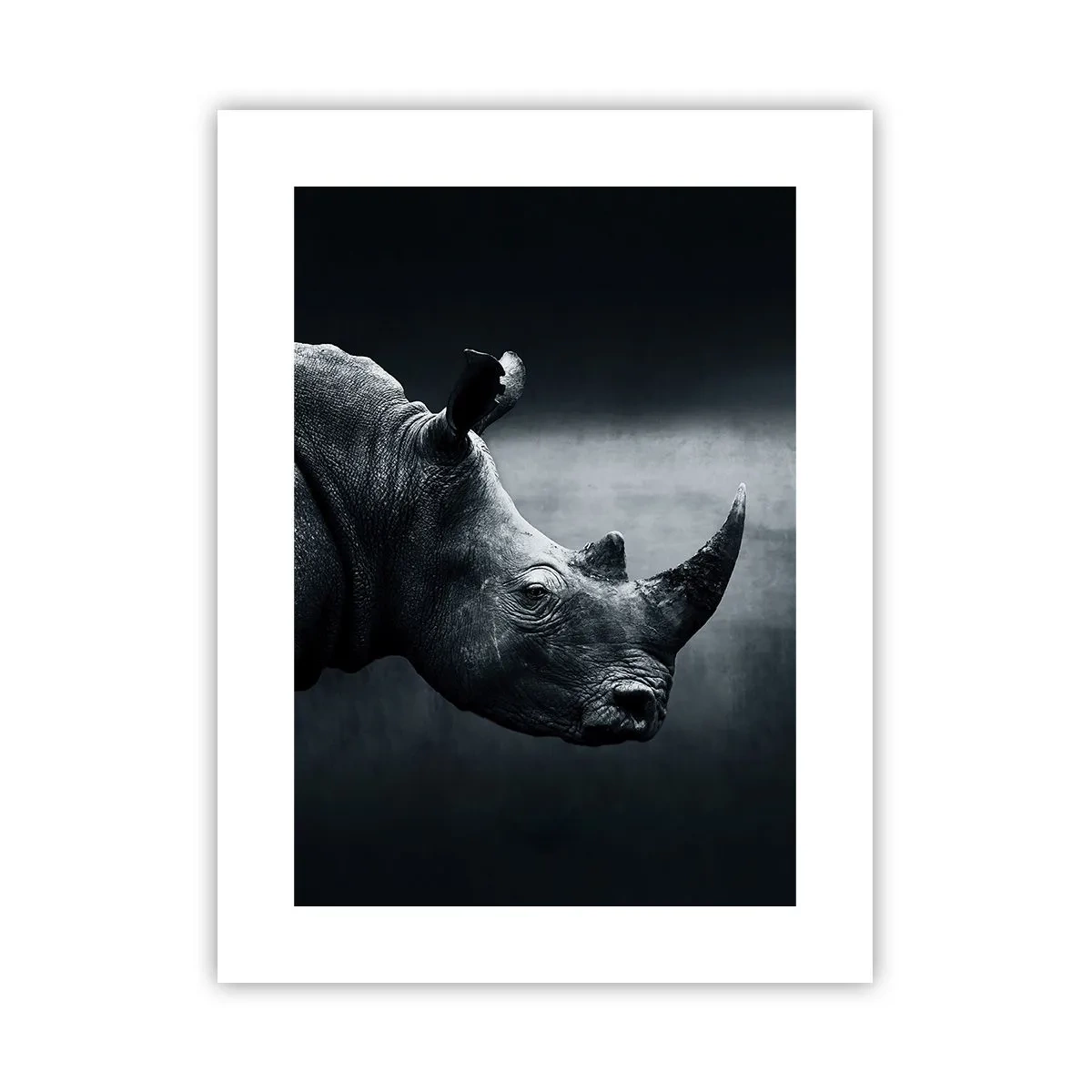 Poster - Profilo destro - 30x40 cm