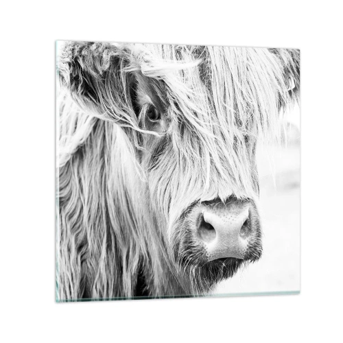 Quadro su vetro - Selvaticità scozzese - 70x70 cm