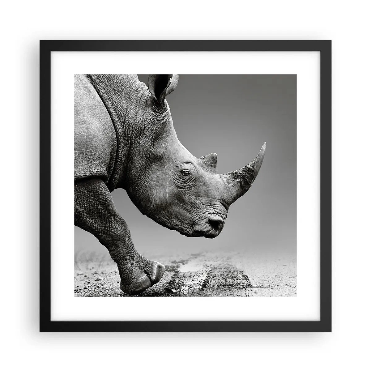 Poster in cornice nera - Forza irrefrenabile - 40x40 cm