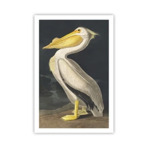 Poster - Pieno di orgoglio - 61x91 cm