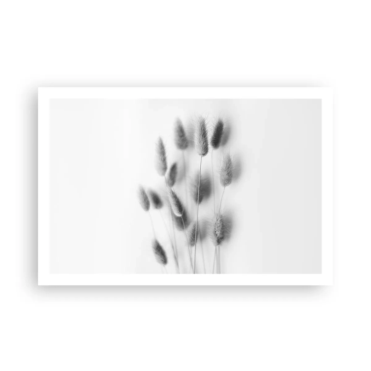 Poster - Erba soffice - 91x61 cm