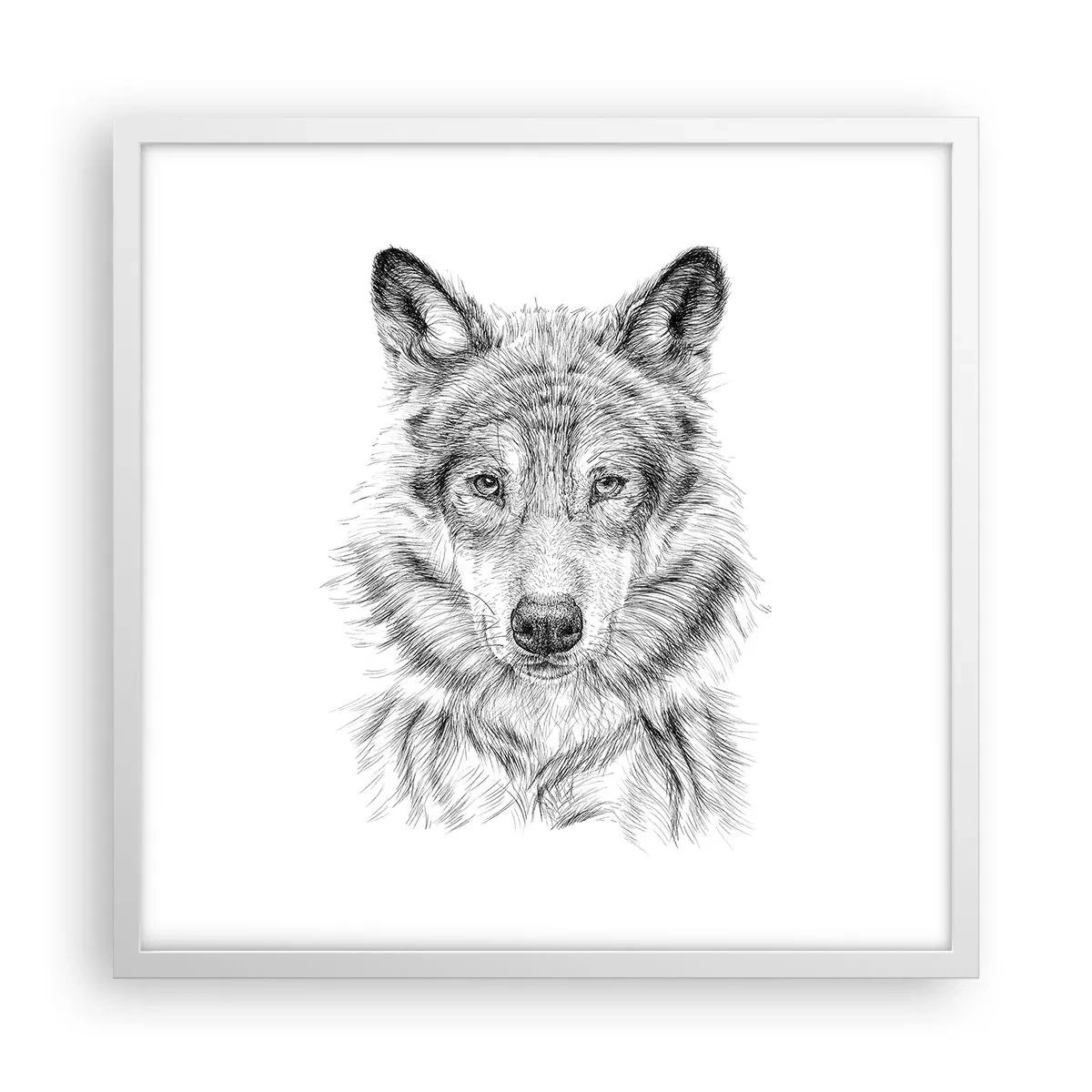 Poster in cornice bianca - Condottiero nato - 50x50 cm