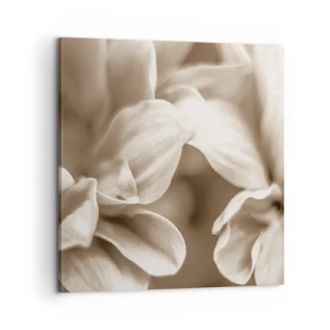 Quadro su tela - Stampe su Tela - Mite come un sorriso - 60x60 cm