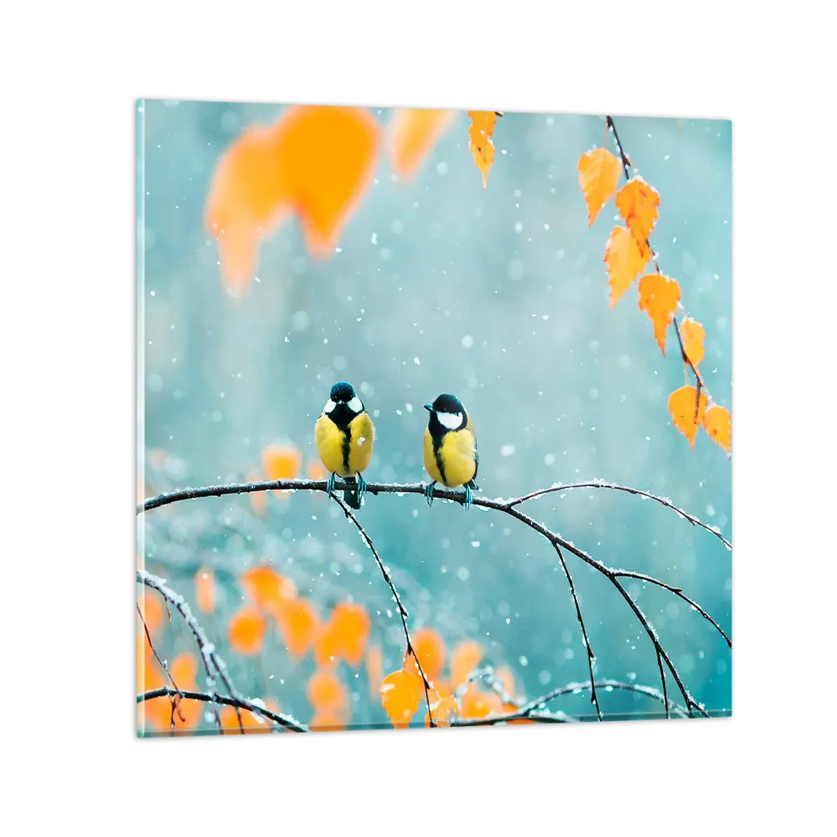 Quadro su vetro - Pettegolezzi alati - 60x60 cm