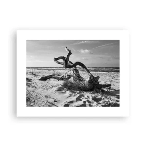 Poster - Scolpito dal mare - 40x30 cm
