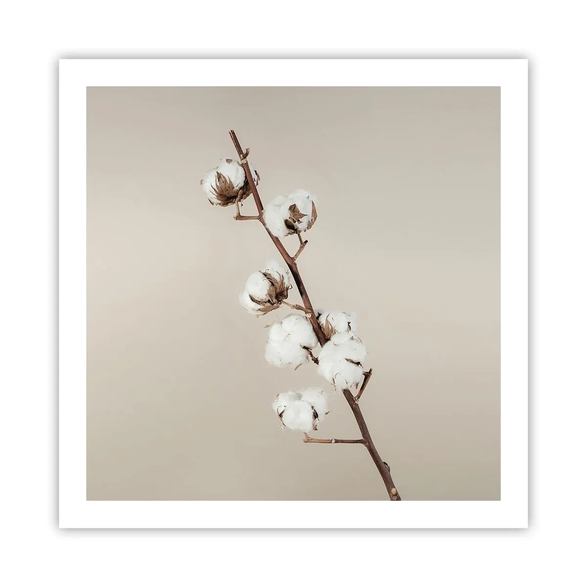 Poster - Alla fonte della morbidezza - 60x60 cm