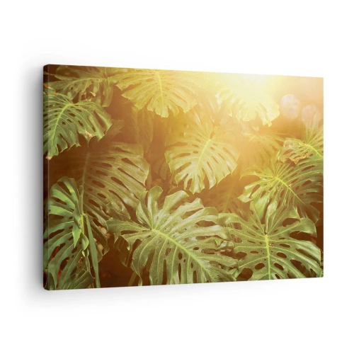 Quadro su tela - Stampe su Tela - Foglie di Monstera alla luce del sole su uno sfondo naturale - 70x50cm - Entrando nel verde... - Decorazione murale moderna per soggiorno e camera da letto ARTTOR