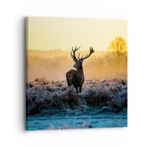 Quadro su tela - Stampe su Tela - Incoronato nelle sue terre - 30x30 cm