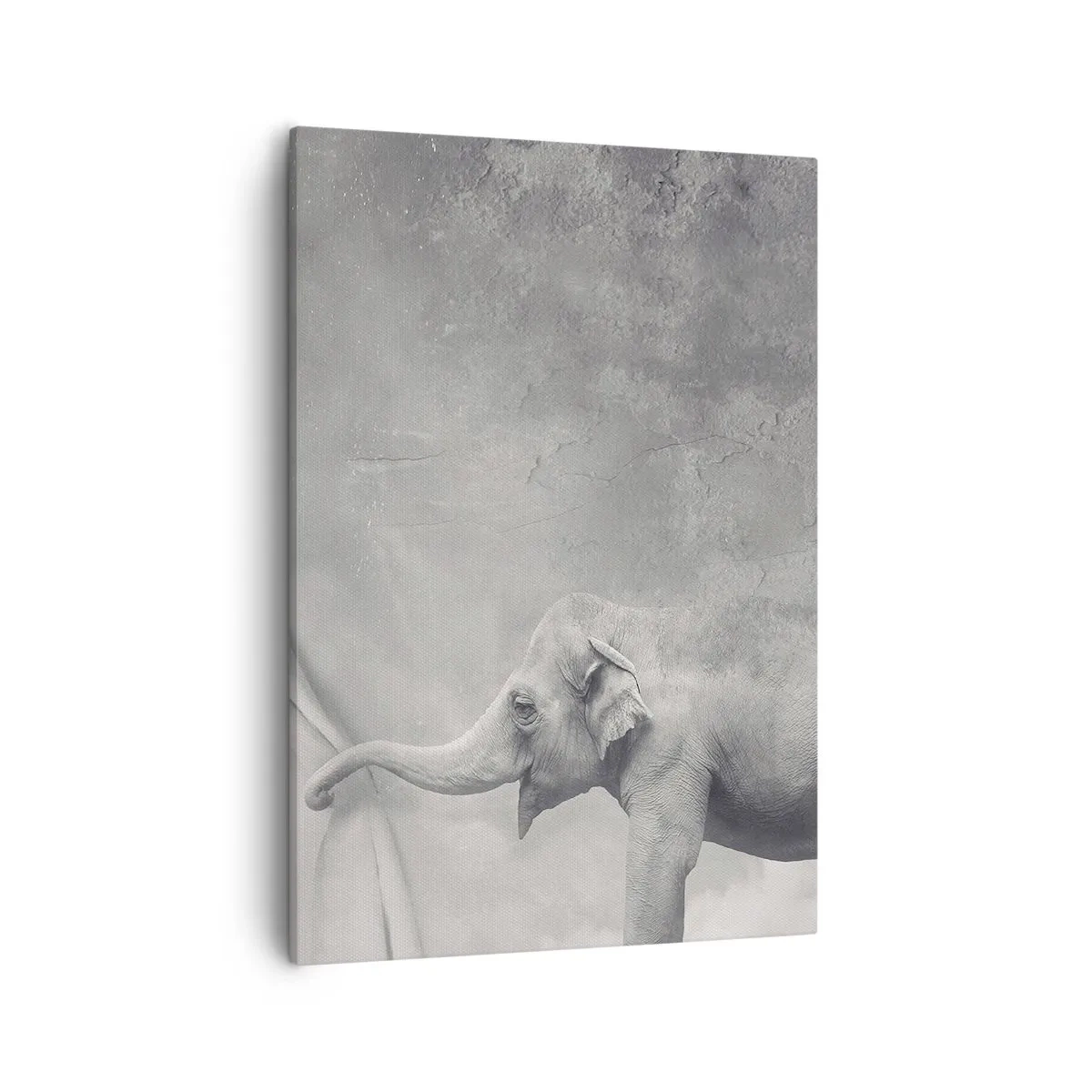 Quadro su tela - Stampe su Tela - Un elefante che scosta la tenda in una surreale ripresa in bianco e nero - 50x70cm - Svelare il mistero - Decorazione murale moderna per soggiorno e camera da letto ARTTOR
