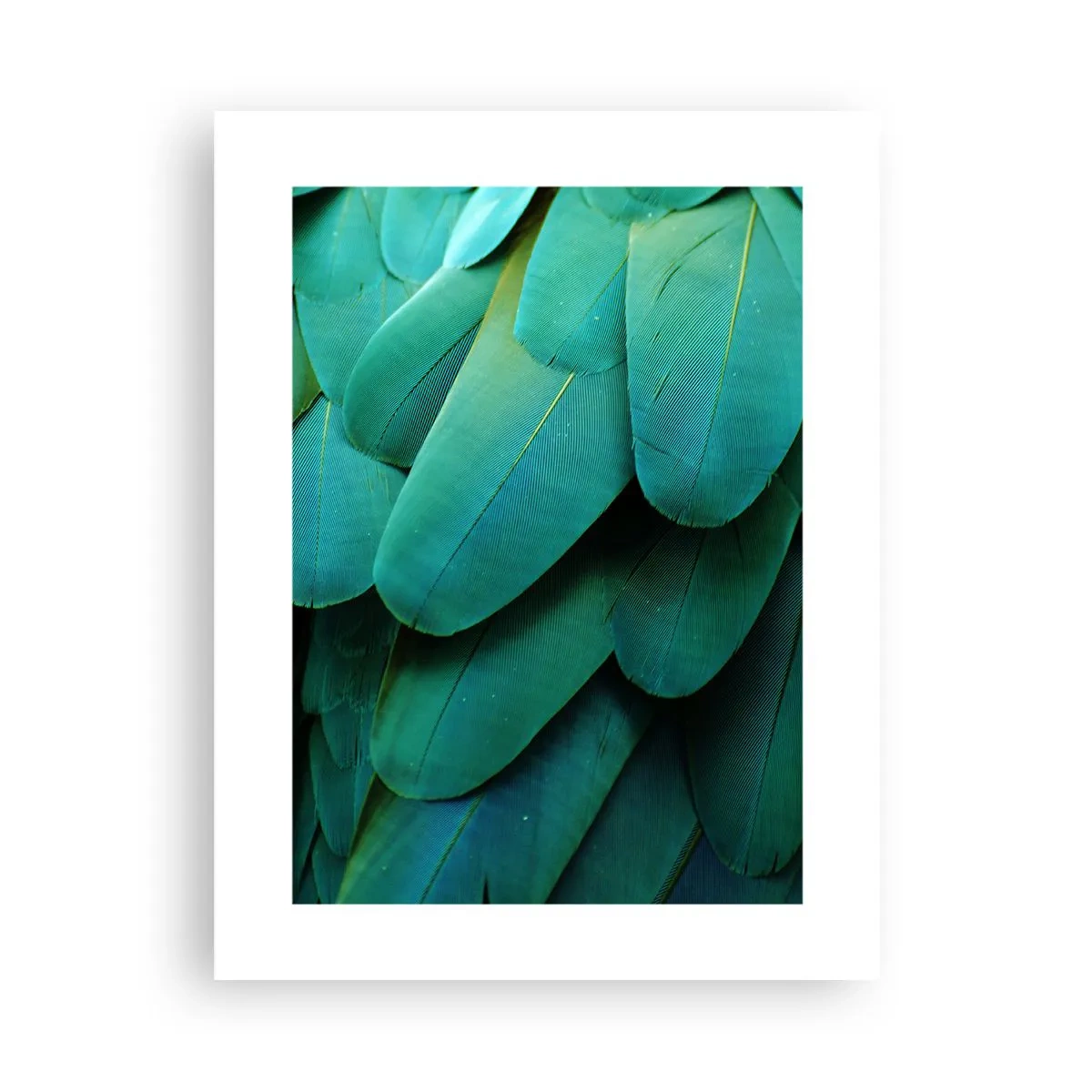 Poster - Precisione da pappagallo - 30x40 cm